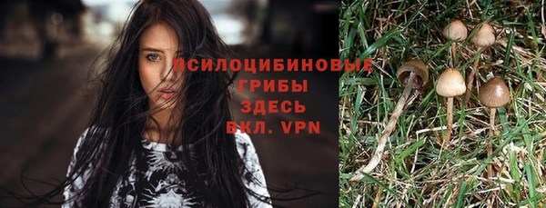 синтетический гашиш Елабуга
