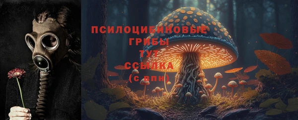 кокаин премиум Ельня