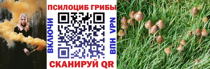 Купить закладки  Назарово  Галлюциногенные грибы мицелий 